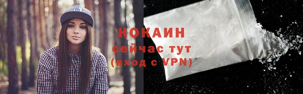 первитин Осинники
