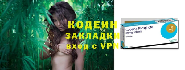 крисы Пересвет