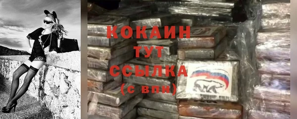 гидра Переславль-Залесский