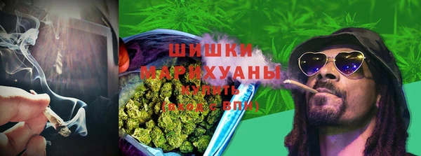 крисы Пересвет